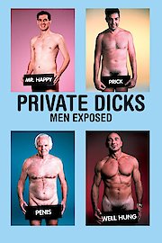 Private Dicks poster