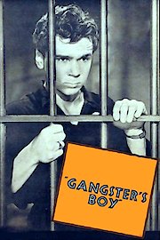 Gangster's Boy poster