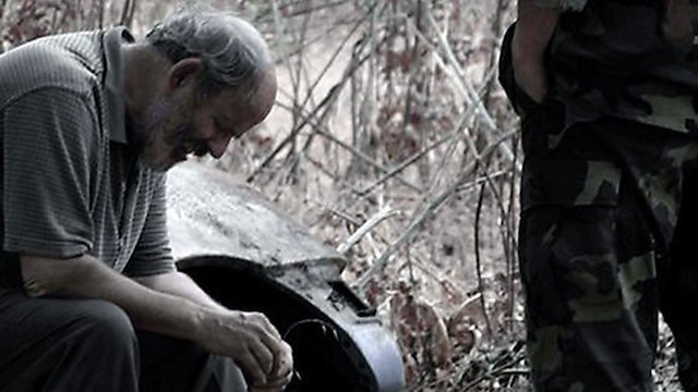 Watch The Kolaborator Online