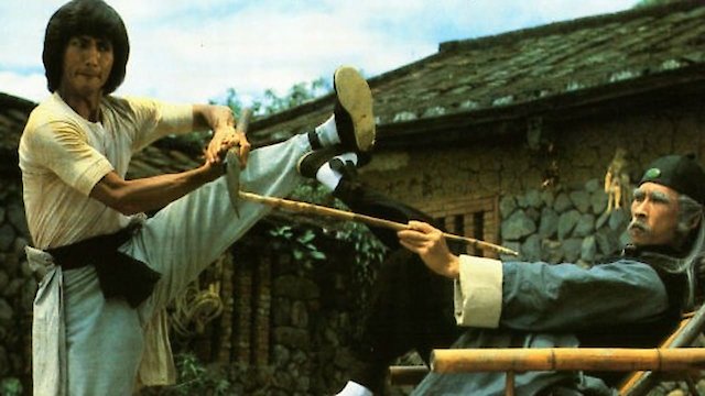 Watch Of Cooks And Kung Fu Online