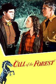 Call of the Forest poster