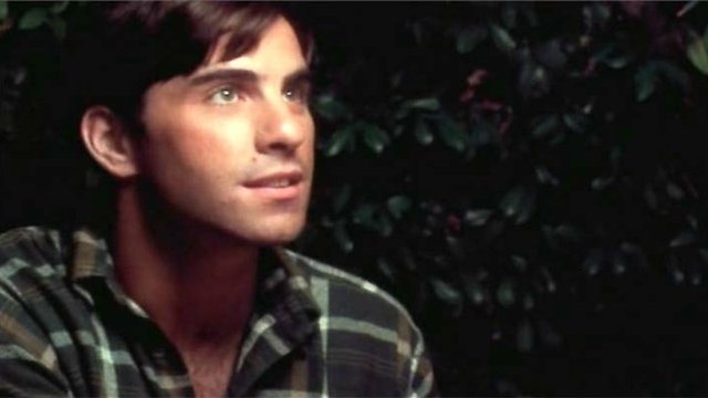 Watch Green Plaid Shirt Online