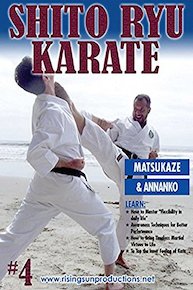 Shito Ryu Karate #4