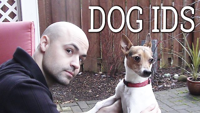 Watch ICIZZLE Presents Dog IDS Online