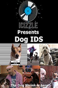 ICIZZLE Presents Dog IDS