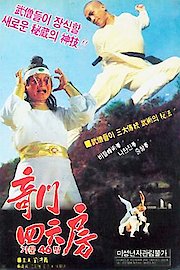 Shaolin Drunk Fighter poster