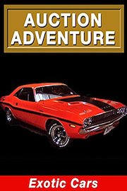 Auction Adventure: Exotic Cars