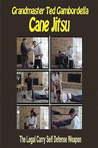 Master the Cane