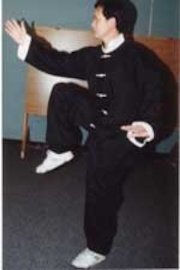 Tai Chi 48 Position set with Application volume 2