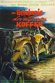 Secret of the Black Trunk poster