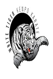 White Tiger Kenpo Orange Belt Volume 2