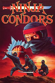 Ninja Condors poster
