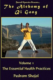 The Alchemy Of Qi-Gong With Pedram Shojai Part One The Essential Health Practice