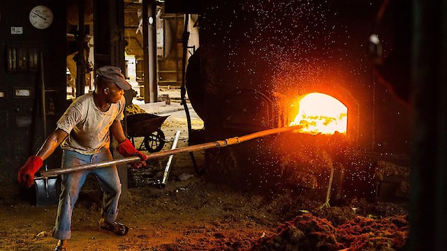 Watch Appetite for Destruction: The Palm Oil Diaries Online