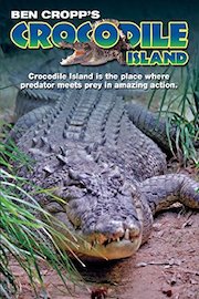 Crocodile Island