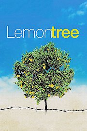 Lemon Tree poster