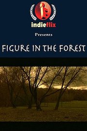 Figure In The Forest poster