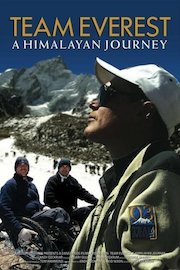 Team Everest: A Himalayan Journey