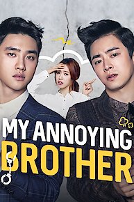 My Annoying Brother (형)