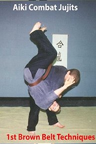 Aiki Combat 1st Brown Belt