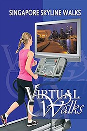 Singapore Day City Walk