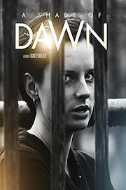 A Shade of Dawn