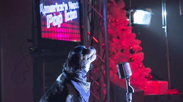 Watch Pop Star Puppy Online