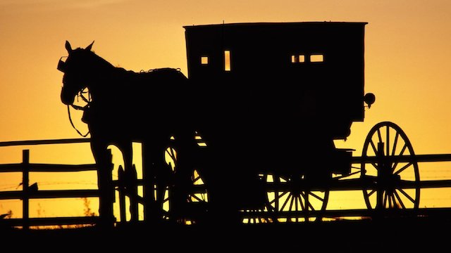 Watch The Amish: A People of Preservation Online