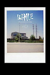 Whale