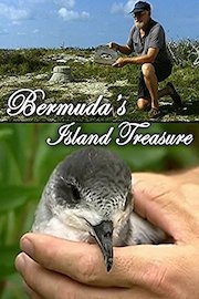 Bermuda's Island Treasure