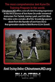 Jeet Kune Do: Famous Techniques poster