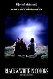 Black & White in Colors poster