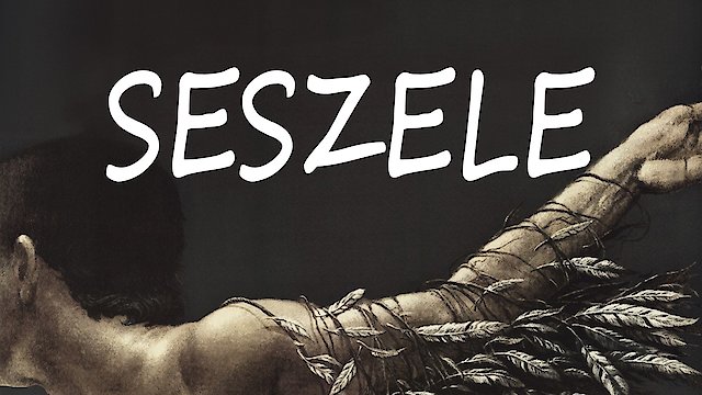 Watch The Seychelles Online