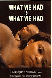 What We Had Is What We Had poster