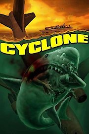 Terror Storm poster