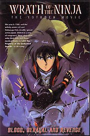 Wrath of The Ninja poster