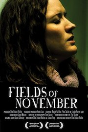Fields of November poster