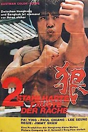 Kung Fu-Ry poster