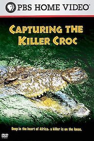 Capturing the Killer Croc