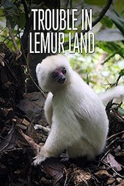 Trouble in Lemur Land poster