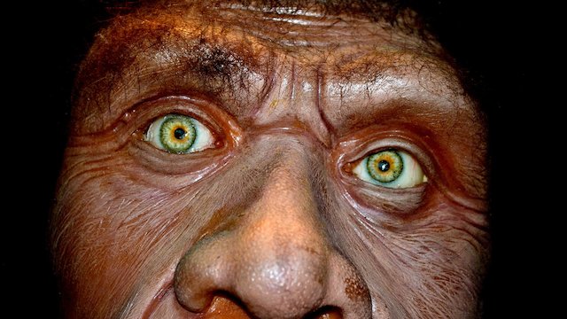 Watch Neanderthal Apocalypse Online