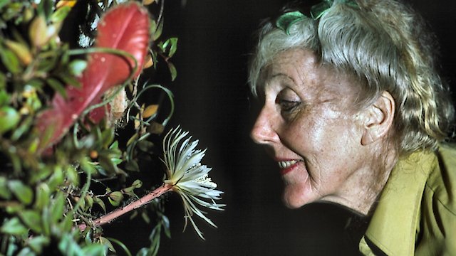Watch Margaret Mee and the Moonflower Online