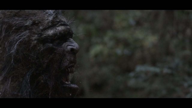 Watch Stomping Ground Online