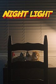 Night Light poster