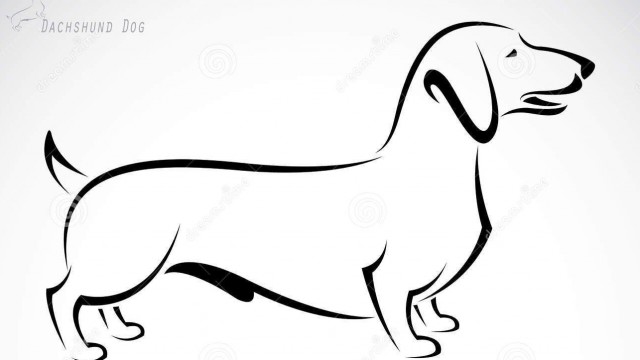 Watch Art Time! Learn Drawing and Coloring with Video Tutorial Lessons Dachshund Online