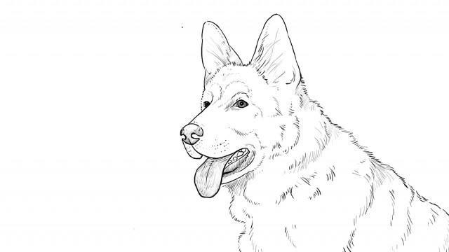 Watch Art Time! Learn Drawing and Coloring with Video Tutorial Lessons German Shepherd Online