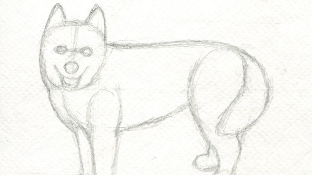 Watch Art Time! Learn Drawing and Coloring with Video Tutorial Lessons Husky Online