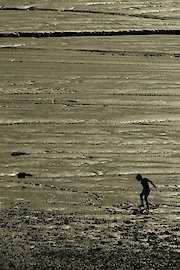 World Without End (No Reported Incidents)