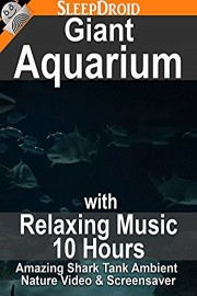 Giant Aquarium with Relaxing Music (10 hours): Amazing Shark Tank Ambient Nature Video & Screensaver