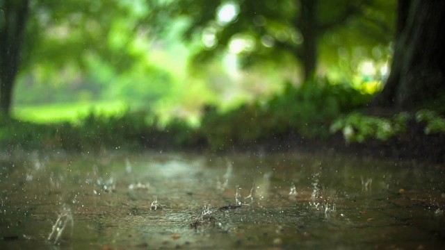 Watch Peaceful Rain Sounds for Relaxation and Meditation Online